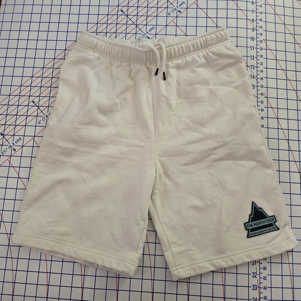 THE NORTH FACE Mens Athletic Shorts - Picture 2 of 6